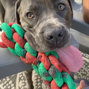 Meet your Posher, Cynthia